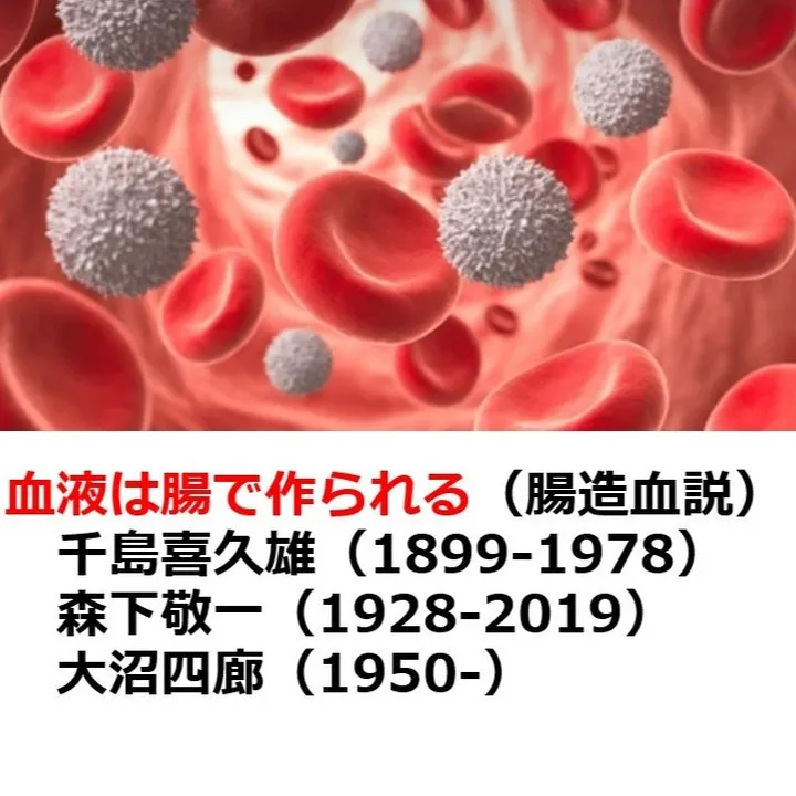 血液は腸で作られているらしい