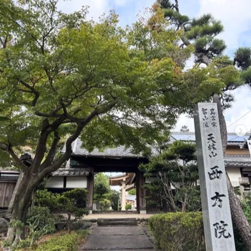 10月13日(月・祝）